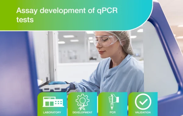 Case study - assay development for qPCR tests