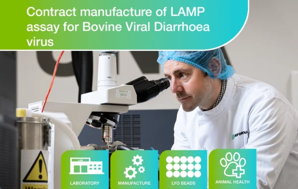 Case Study - Contract Manufacture - LAMP - Bovine Viral