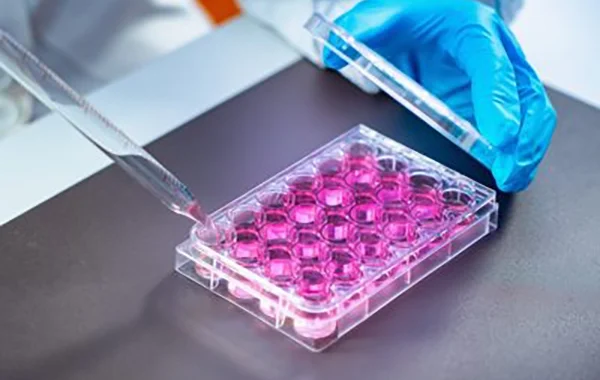 Cell culture
