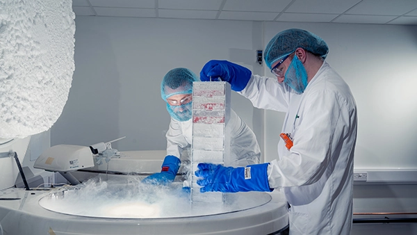 Two Biofortuna colleagues taking samples out of cryotanks in our secure facilities, wearing full PPE.